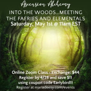 Into the Woods… meeting the Faeries and Elementals