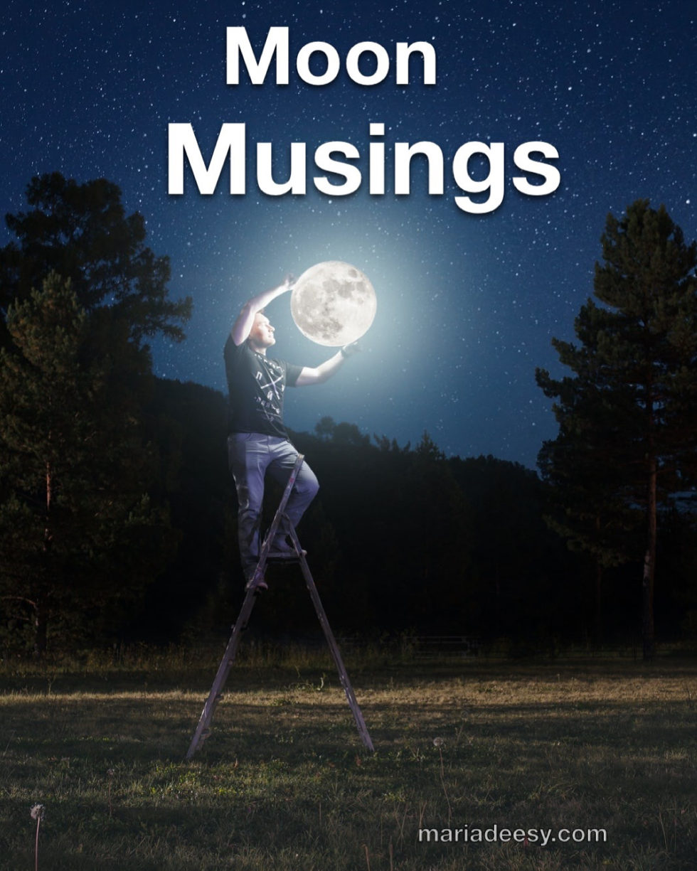 Moon Musings  Maria Deesy