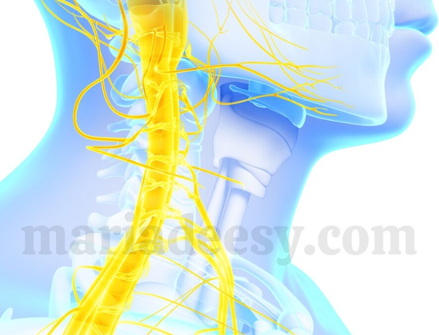X-flares over stimulating your Vegus Nerve